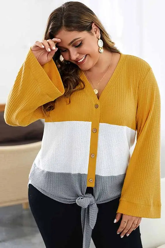 Plus-Sized Long Sleeve Colorblock Top