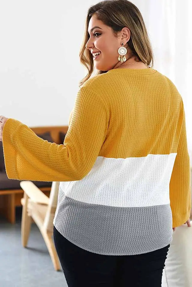 Plus-Sized Long Sleeve Colorblock Top