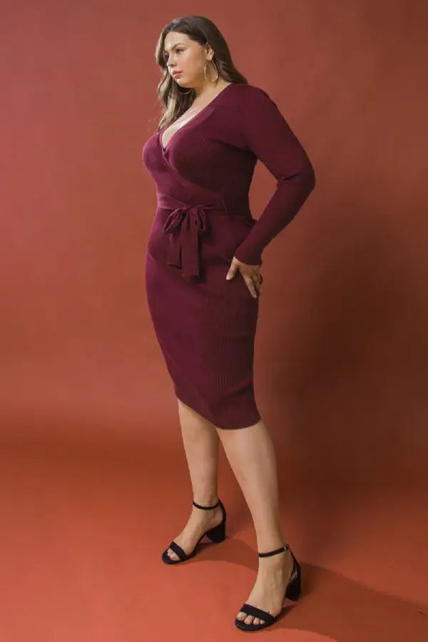 Plus Size Sweater Dress