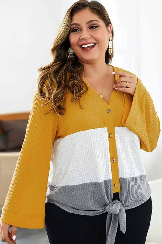 Plus-Sized Long Sleeve Colorblock Top