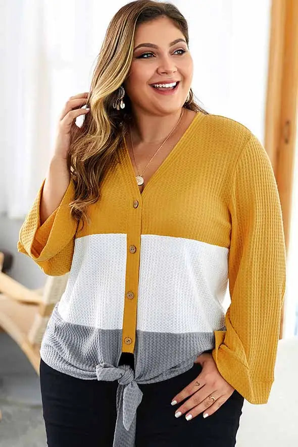 Plus-Sized Long Sleeve Colorblock Top