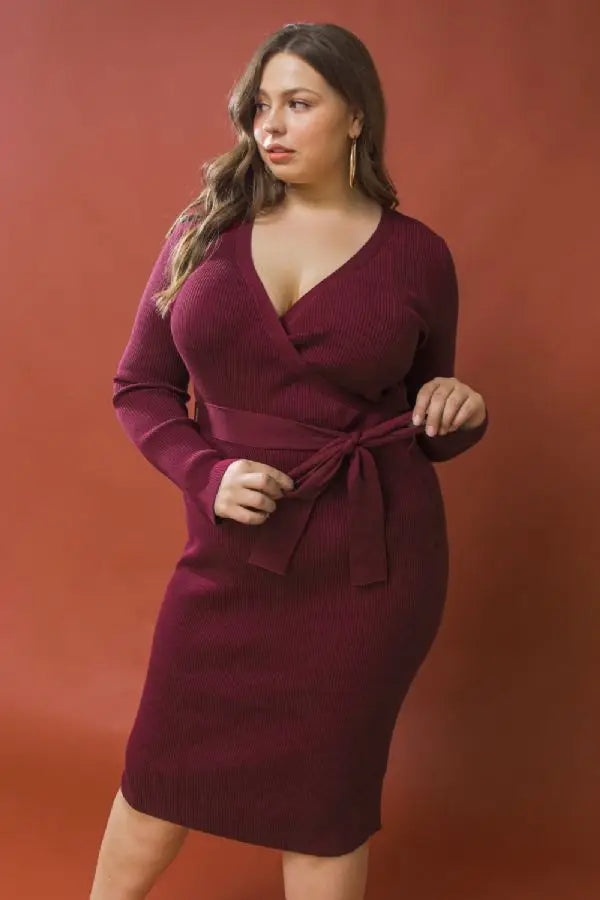 Plus Size Sweater Dress – Epiphany Hair Fashion Boutique